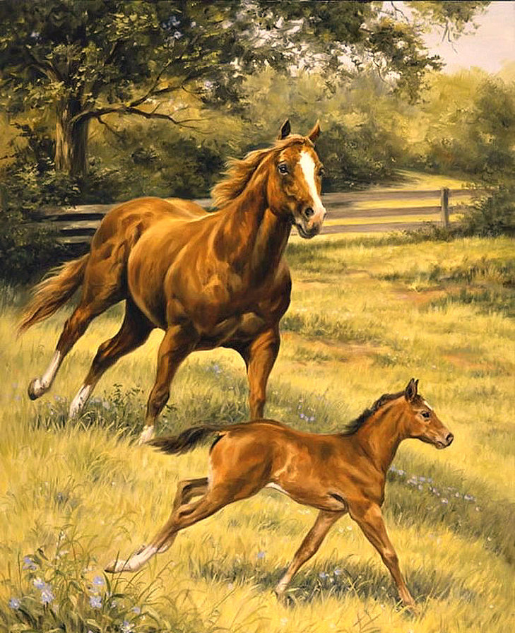 Серия "Лошади, кони" - галоп, лето, природа, кобылица, жеребенок, пейзаж - оригинал