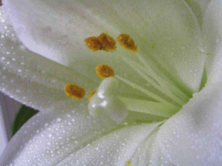 №988000 - предпросмотр