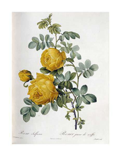 №988024 - оригинал