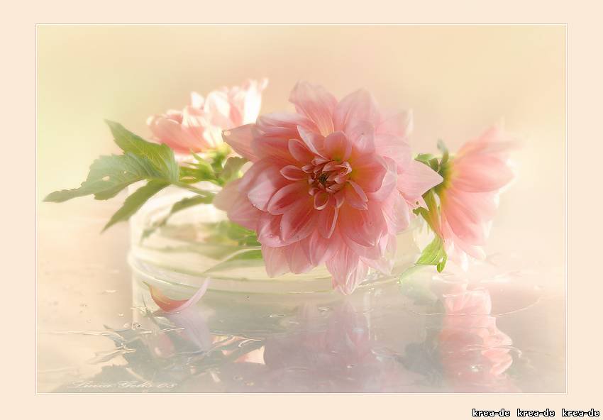 Цветы - оригинал