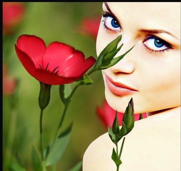 Девушка - женщина, девушка, цветы - оригинал