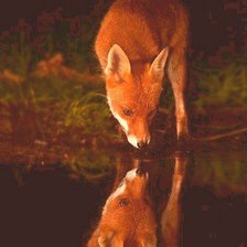 Схема вышивки «у воды»