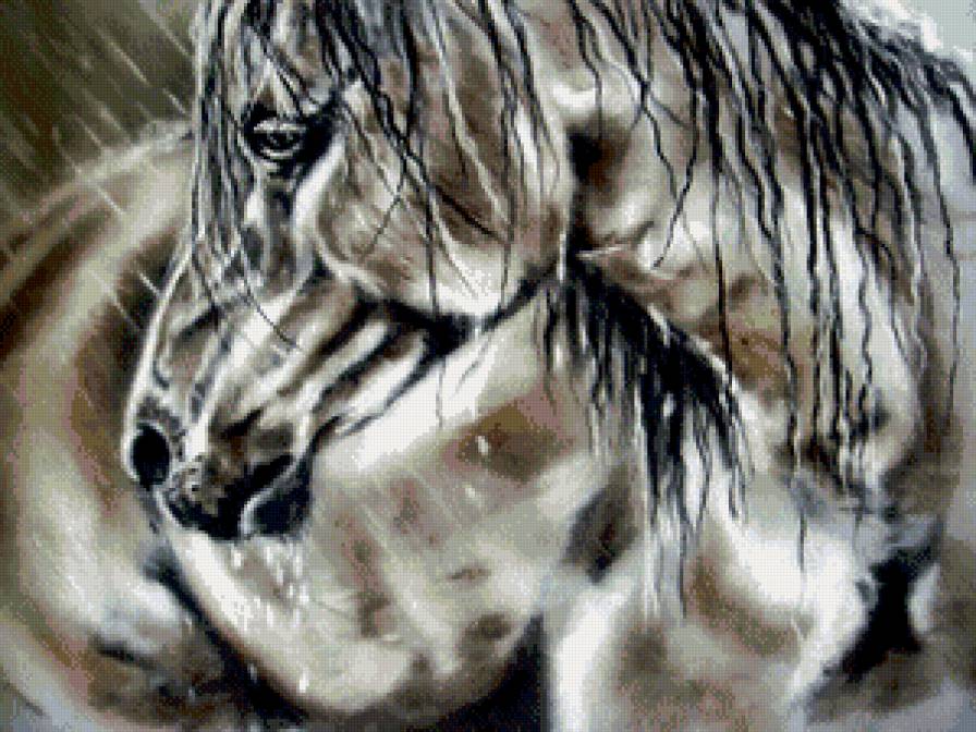 лошадь под дождём - скакун, дождь, графика, природа, животное, конь, лошадь - предпросмотр