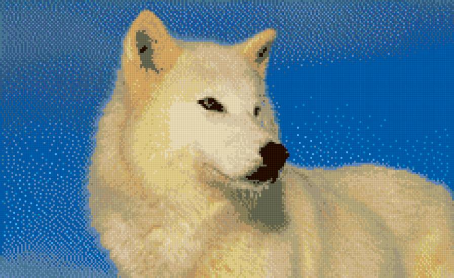 Белый волк - предпросмотр