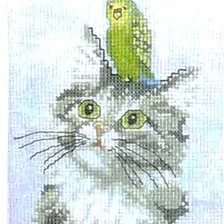 Схема вышивки «Котенок с попугаем»