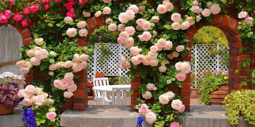 беседка - цветы - оригинал