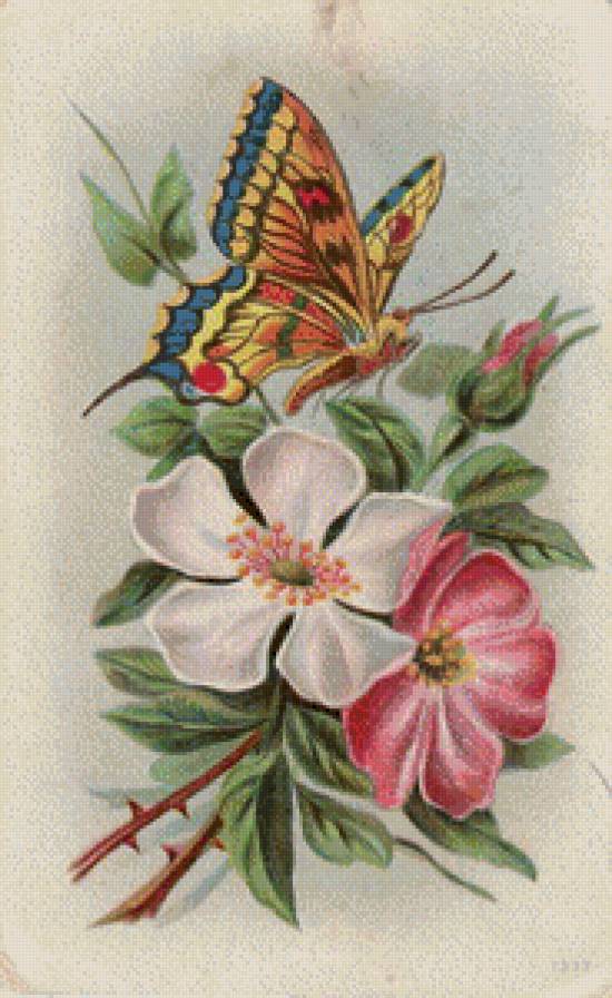 №990092 - предпросмотр