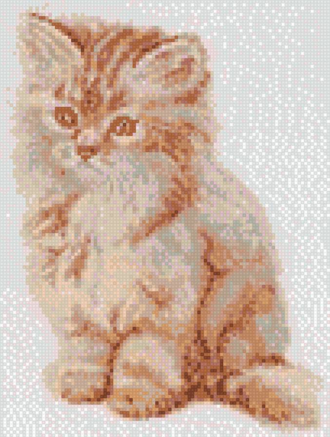 Котик - котик - предпросмотр