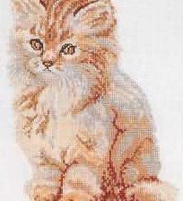 Оригинал схемы вышивки «Котик» (№990725)