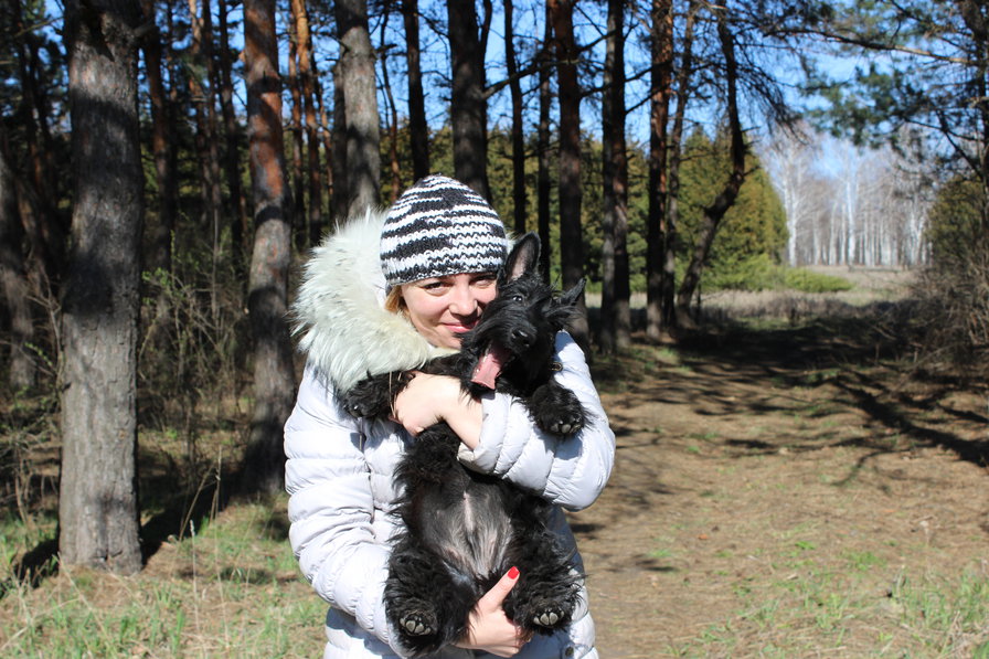 №990841 - собакевичи - оригинал