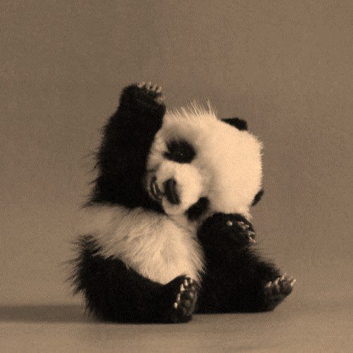 Милый панда - панда - оригинал