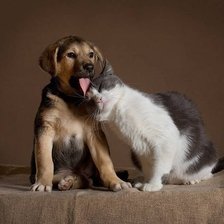 Схема вышивки «147»