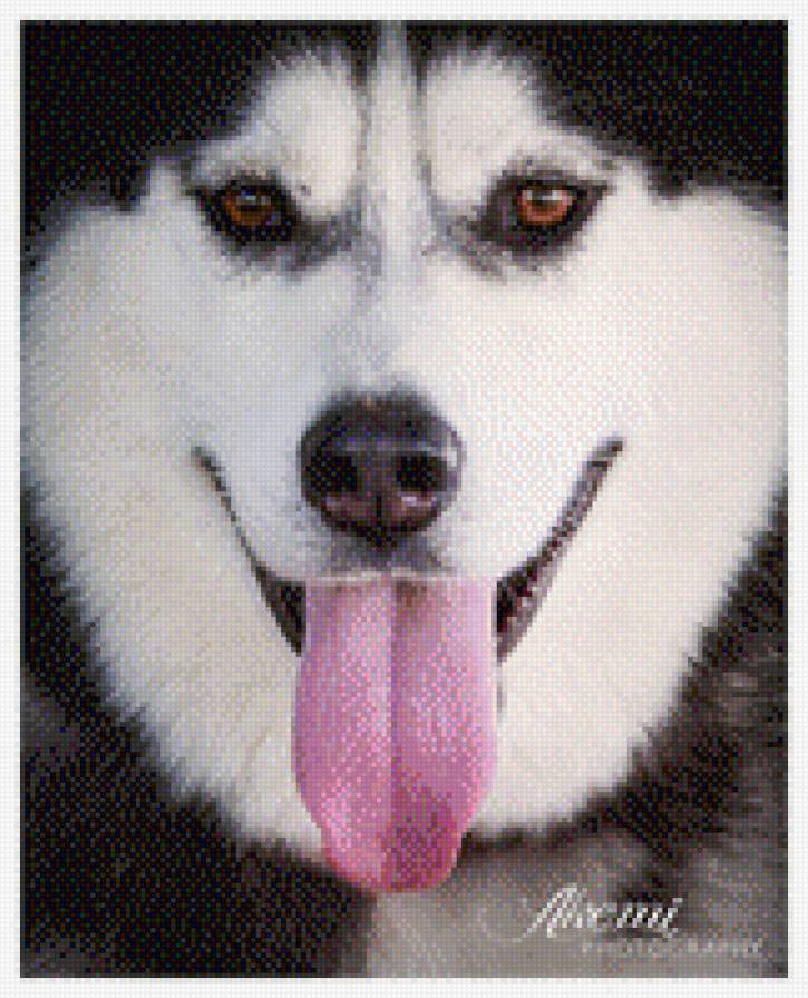 148 - предпросмотр