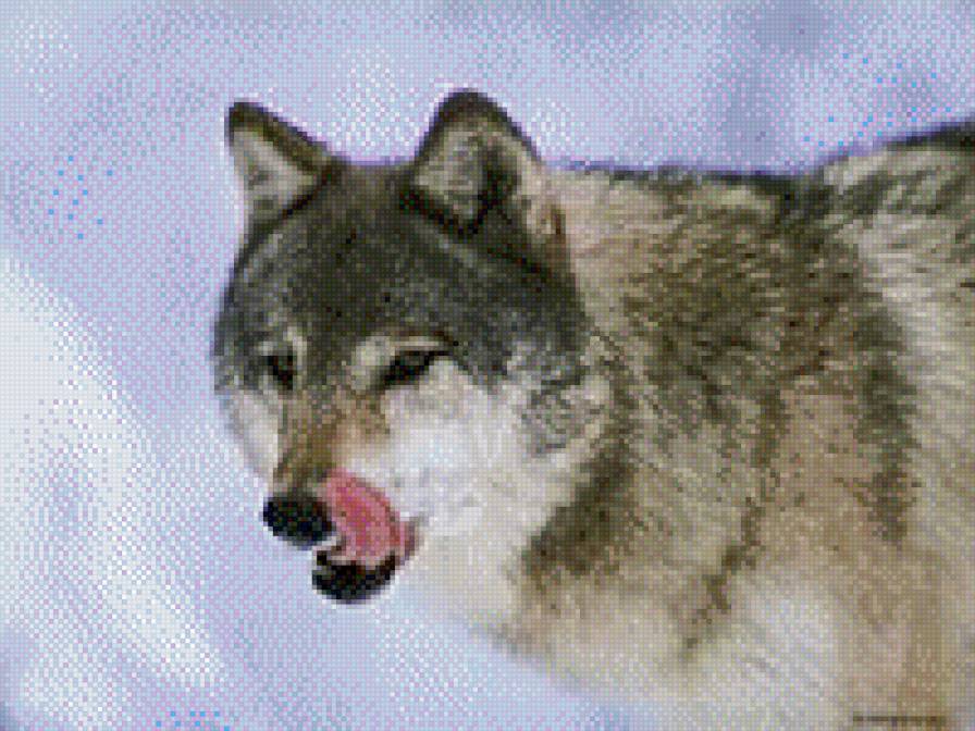 149 - предпросмотр