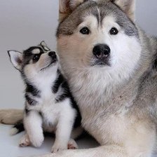 Схема вышивки «153»