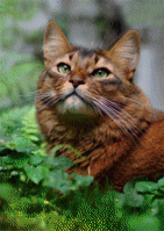 159 - предпросмотр