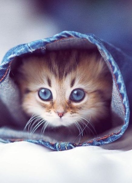 163 - оригинал