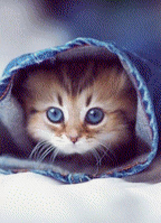 163 - предпросмотр