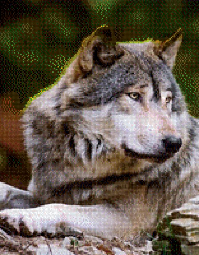 167 - предпросмотр