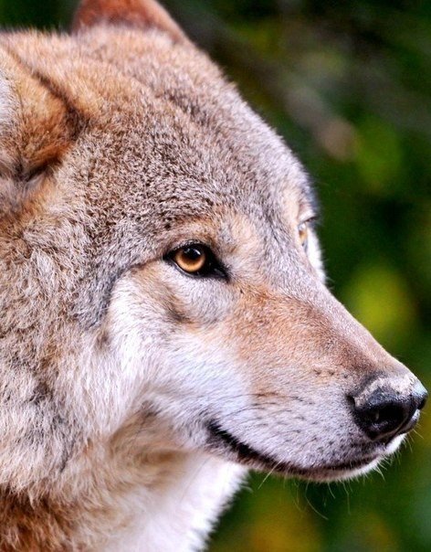 168 - оригинал