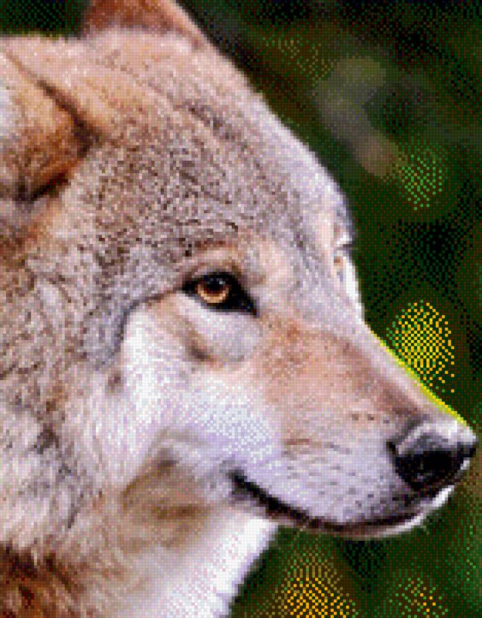 168 - предпросмотр