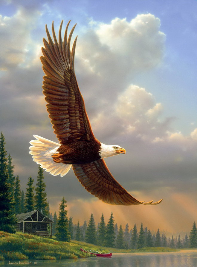 0219 - картина, птицы, природа, красота, живопись, орел - оригинал