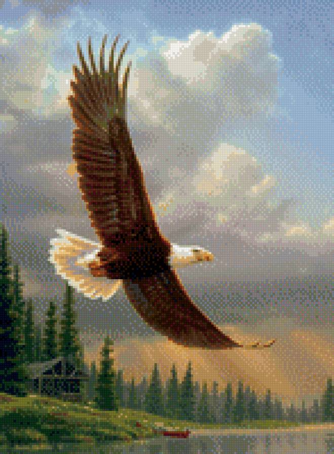 0219 - птицы, орел, живопись, картина, красота, природа - предпросмотр
