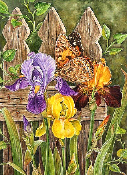 Серия "Цветы и бабочки" - оригинал