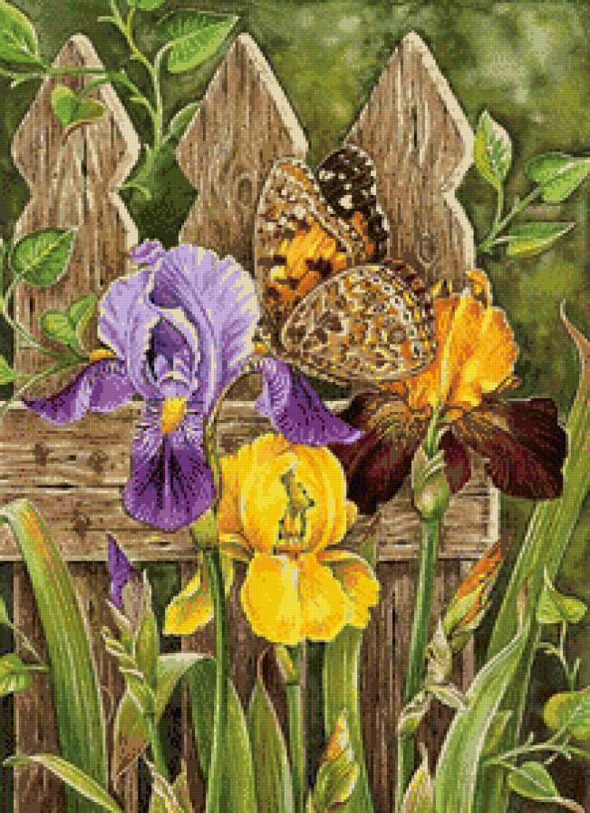 Серия "Цветы и бабочки" - предпросмотр