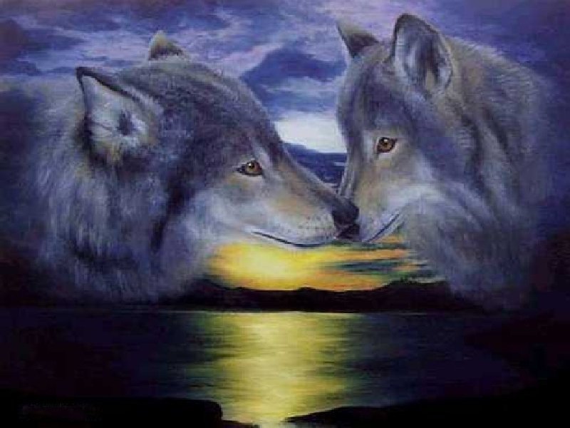 волки2 - оригинал
