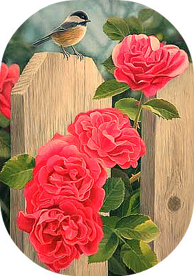 Серия "Цветы, букеты" - сад, забор, розы, птичка - оригинал