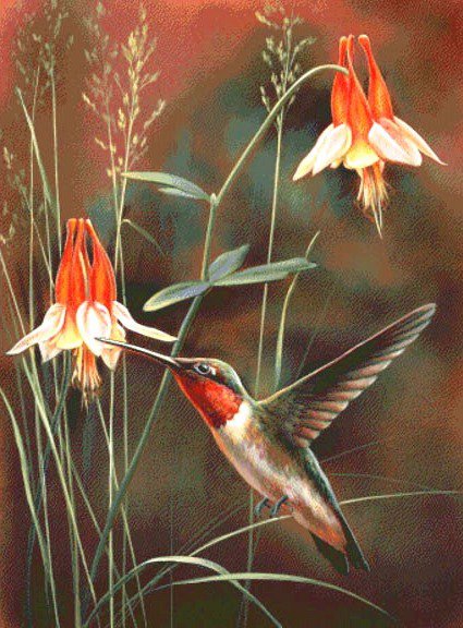 дикий мир Rebecca Latham - природа, цветы, картина, птицы - оригинал
