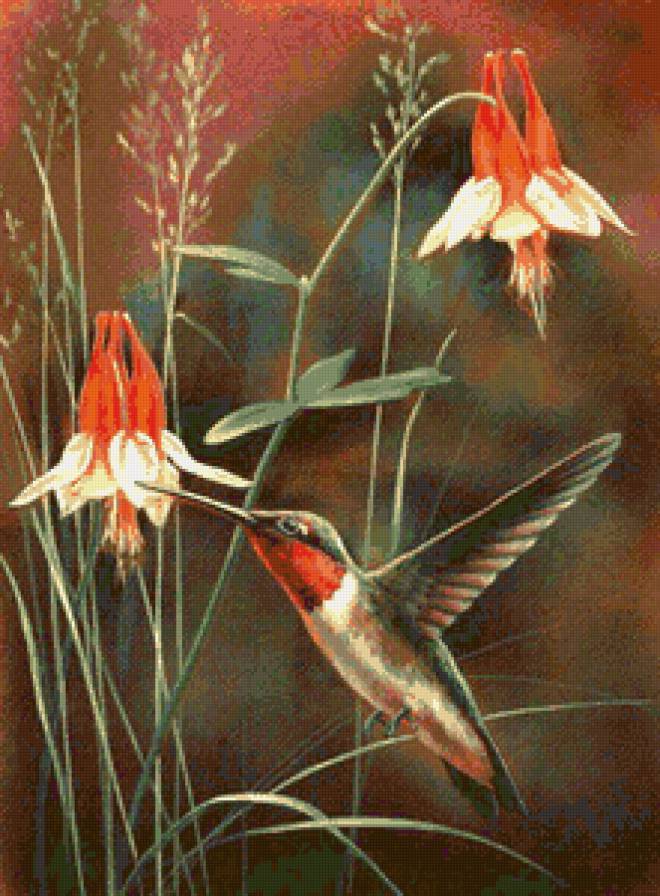 дикий мир Rebecca Latham - цветы, птицы, природа, картина - предпросмотр