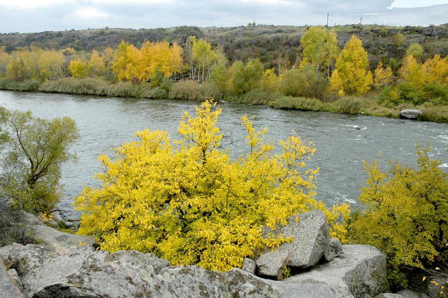 родные места - город, река южный буг - оригинал