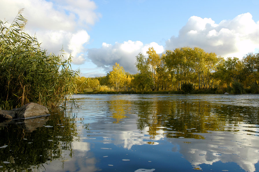 родные места - река южный буг, пейзаж - оригинал