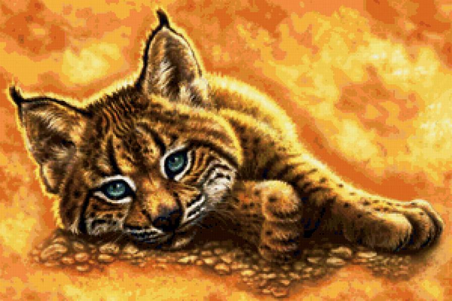 дикий мир Rebecca Latham - природа, кошки, рыси, хищники - предпросмотр