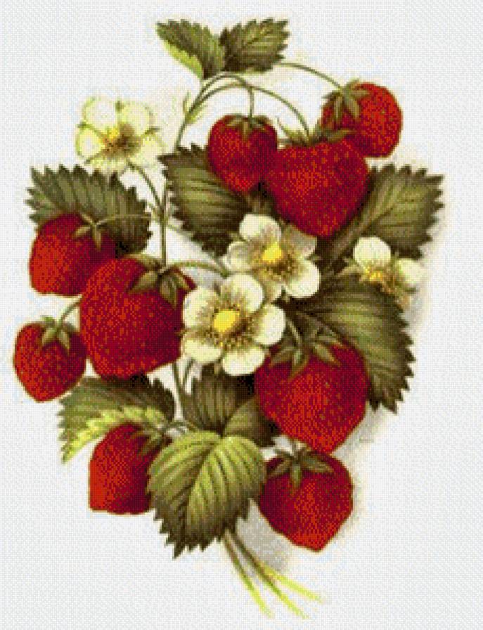 серия "фрукты" - ягоды.клубника.цветы, фрукты - предпросмотр