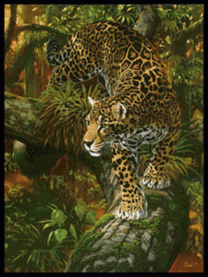 леопард - леопард, животные - предпросмотр