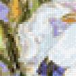Предпросмотр схемы вышивки «Нежные ирисы» (№992553)