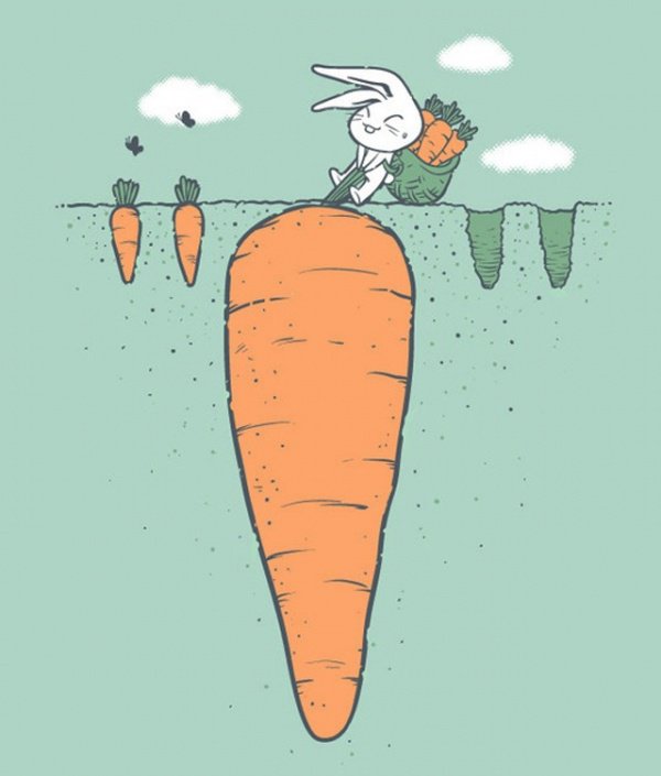 Заяц - морковка, заяц - оригинал