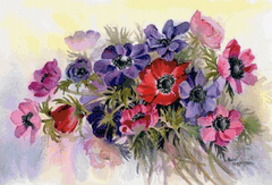 Анемоны акварелью - анемоны, букет, цветы, акварель - предпросмотр