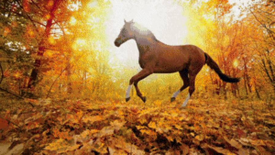 свобода - предпросмотр