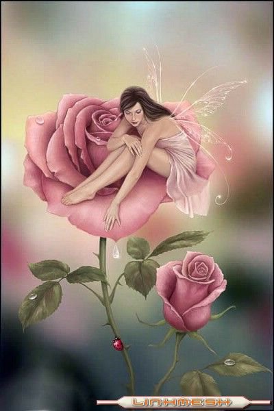 №992689 - оригинал