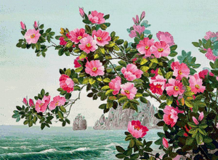 Серия "Морские пейзажи" - цветы, волны, скалы, море - предпросмотр