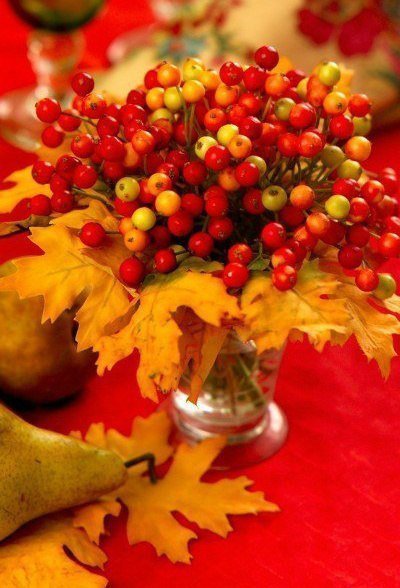 Осень - рябина, листья желтые, осень - оригинал