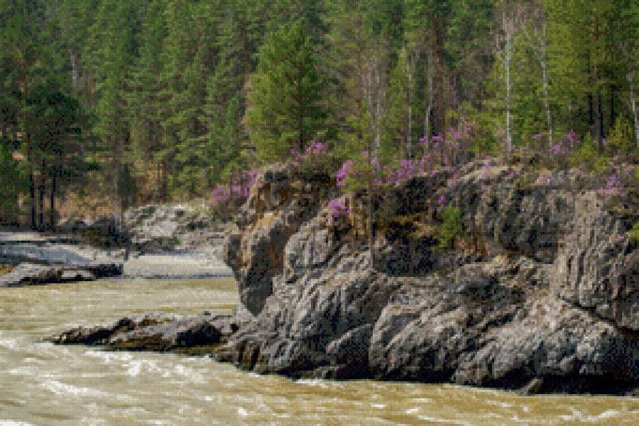 горная река - горы, катунь, маральник, река - предпросмотр