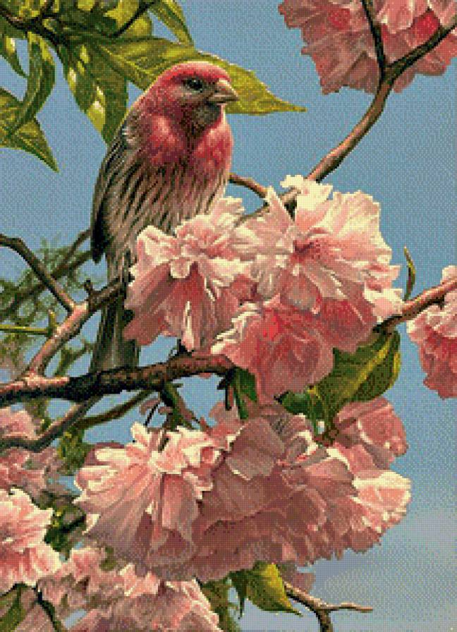 Серия "Пернатые" - птичка, цветущая ветка - предпросмотр