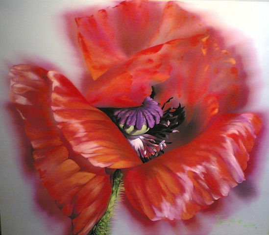 мак - мак - оригинал