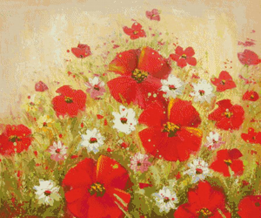 маки - предпросмотр