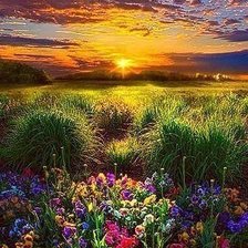 Схема вышивки «закат»